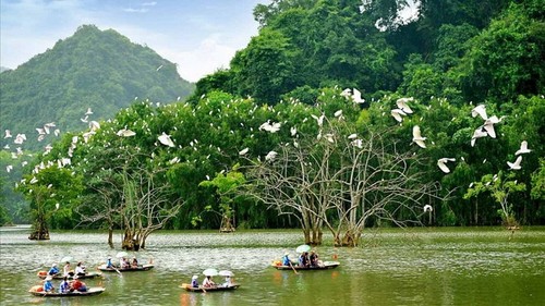 05vietnamphattriendulichsinhthai XRKR