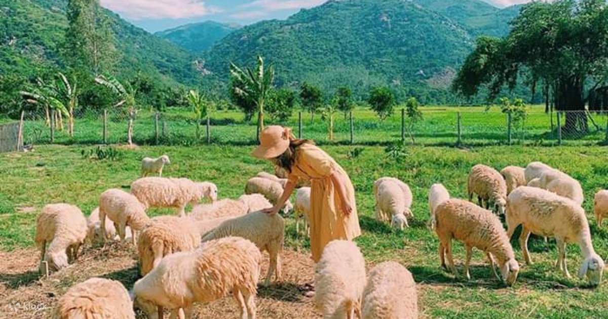 TTECO Travel 8 Tour Ngay Dong Cuu Vinh Vinh Hy Vuon Nho va Hang Rai tu Nha Trang