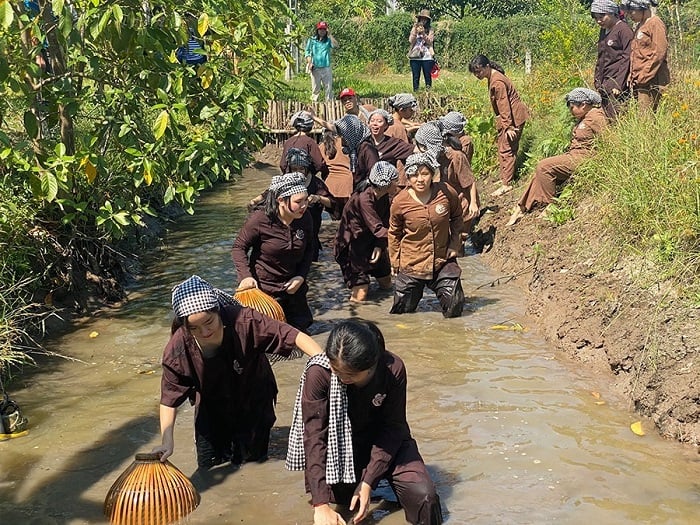 anh mo ta