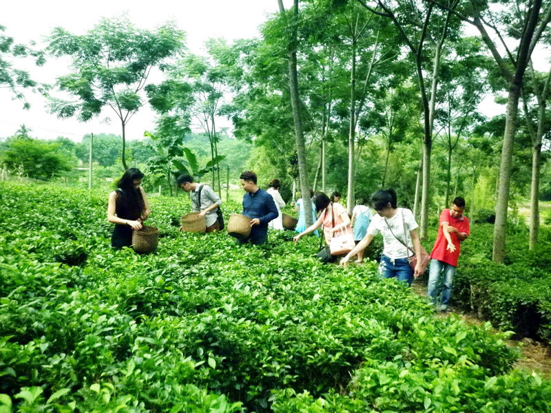 Chia sẻ Kinh nghiệm tham gia Du Lịch Sinh Thái cho người mới bắt đầu 12 hanoimoi.com .vn uploads tuandiep 2018 12 19 ba vi