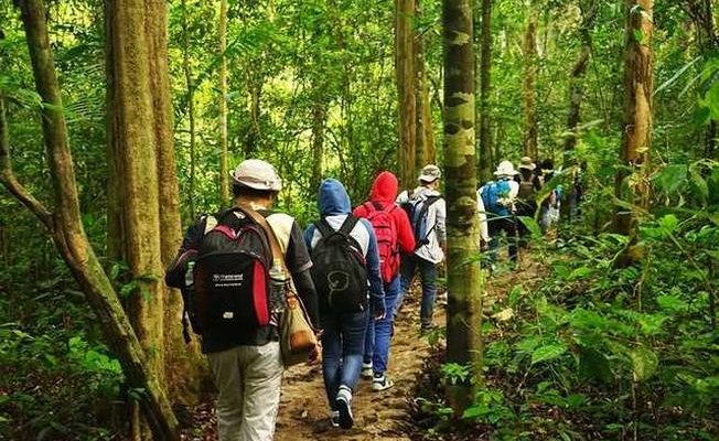 Khám phá Vườn Quốc Gia Cát Tiên - Rừng nhiệt đới & Khu bảo tồn độc đáo nhất Việt Nam 7 kinh nghiem du lich rung nam cat tien 6 652x400 1