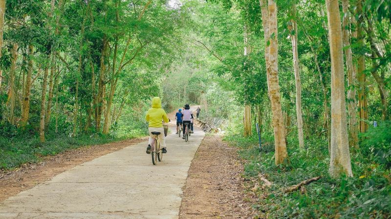Khám phá Vườn Quốc Gia Cát Tiên - Rừng nhiệt đới & Khu bảo tồn độc đáo nhất Việt Nam 9 tron bo kinh nghiem du lich vuon quoc gia cat tien 202406130935179388