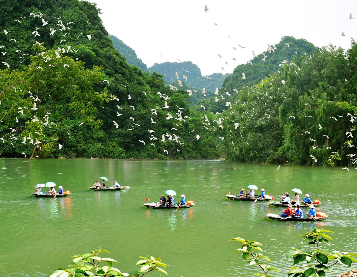 vuon chim thung nham lac vao vuong quoc cac loai chim o ninh binh 03 1640682926 1