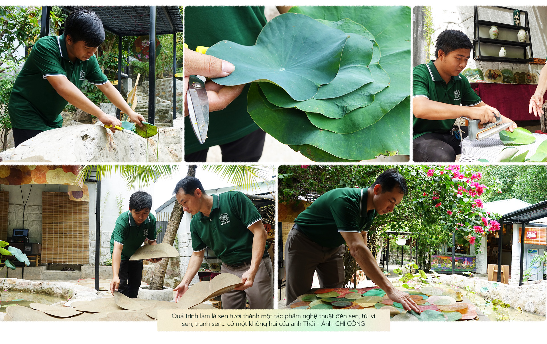 Hành trình người đưa lá sen Việt đến khách quốc tế - Ảnh 6. Hành trình người đưa lá sen Việt đến khách quốc tế - Ảnh 6.