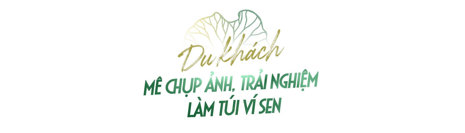 Hành trình người đưa lá sen Việt đến khách quốc tế - Ảnh 7. Hành trình người đưa lá sen Việt đến khách quốc tế - Ảnh 7.